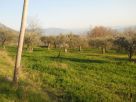 Foto - Immobile 8000 mq, Gioia Sannitica