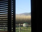 Foto - Casa indipendente 125 mq, ottimo stato, Agliana