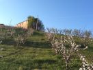 Foto - Rustico / Casale, da ristrutturare, 350 mq, Monterubbiano