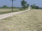 Foto - Rustico / Casale, ottimo stato, 180 mq, Monzambano