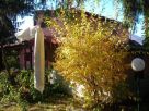 Foto - Rustico / Casale, buono stato, 110 mq, Tresana