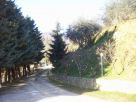Foto - Rustico / Casale via Villore, Vicchio