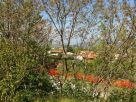 Foto - Villa Vendita, Baone