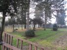 Foto - Rustico / Casale Vendita, Ponso