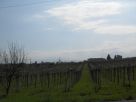 Terreno Vendita Francavilla Al Mare 