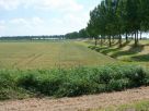Terreno Vendita Calvignasco 