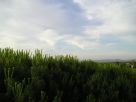 Foto - Trilocale via dei Platani, Bibbona