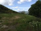 Foto - Immobile 1500 mq, Rivergaro