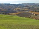 Foto - Rustico / Casale, buono stato, 280 mq, Staffolo