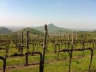 Foto - Rustico / Casale Vendita, Cinto Euganeo