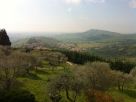 Foto - Rustico / Casale Vendita, Arqua' Petrarca