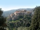 Foto - Rustico / Casale, nuovo, 100 mq, Castagneto Carducci