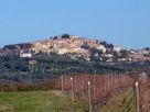 Foto - Rustico / Casale, ottimo stato, 280 mq, Castagneto Carducci