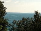 Foto - Casa indipendente 70 mq, buono stato, Garda