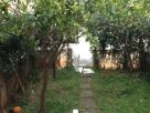Foto - Trilocale buono stato, piano rialzato, Diamante