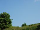 Terreno Vendita Sanfre' 