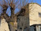 Foto - Rustico / Casale 290 mq, Cingoli