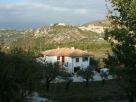 Foto - Villa via Casino San Germano, Arpino