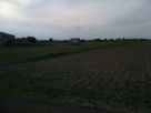 Foto - Rustico / Casale, da ristrutturare, 300 mq, Adria