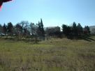 Foto - Rustico / Casale 250 mq, Cupramontana