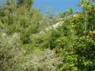 Foto - Rustico / Casale, nuovo, 290 mq, Fermo
