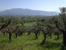 Terreno Vendita Anagni 