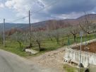 Terreno Vendita Veroli 