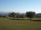 Immobile Affitto Padenghe Sul Garda 