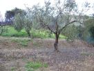 Terreno Vendita Casteldaccia 
