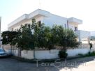 Villa / Villetta Affitto Salve 