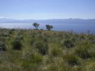 Foto - Immobile 200 mq, Reggio Calabria