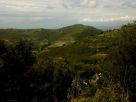 Terreno Vendita Laureana Cilento 