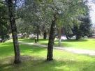 Terreno Vendita Cameri 