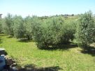 Foto - Immobile via delle Molacce, Civitavecchia
