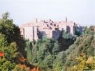 Foto - Appartamento via Ridolfi, Corchiano