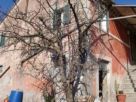 Foto - Rustico / Casale, da ristrutturare, 300 mq, Camerano