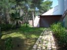 Villa / Villetta Affitto Castellaneta 