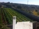 Foto - Villa via Giovanni Verga, Castrignano Del Capo