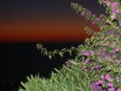 Foto - Villa zona la guardia, Anacapri