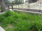 Foto - Quadrilocale buono stato, piano terra, Potenza Picena