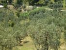 Terreno Vendita Carmignano 