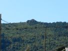 Terreno Vendita Telti 