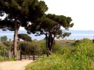 Foto - Rustico / Casale 300 mq, Gradoli