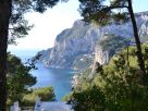 Foto - Appartamento da ristrutturare, Capri