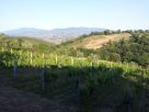 Foto - Quadrilocale buono stato, piano terra, Cinigiano
