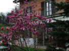 Foto - Casa indipendente 250 mq, ottimo stato, San Martino Alfieri