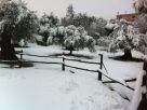 Terreno Vendita Tivoli 