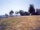 Foto - Rustico / Casale via Marche, San Costanzo