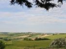 Rustico / Casale Vendita Belvedere Ostrense 