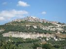 Terreno Vendita Sant'Angelo Romano 